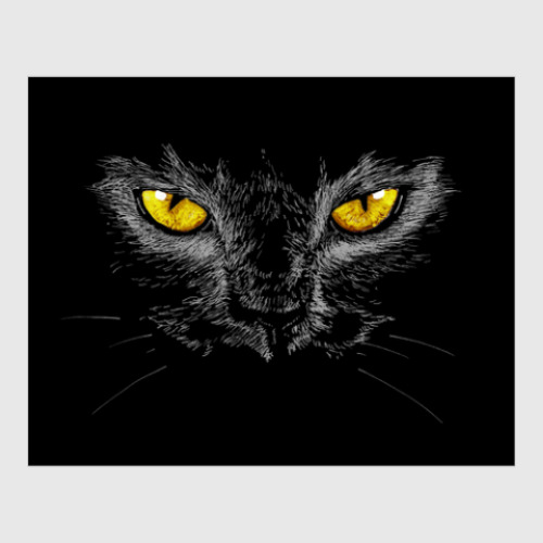 Постер с принтом Черный кот