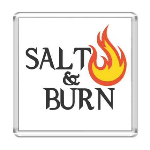 Магнит с принтом Salt & Burn