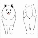 Два Самоеда