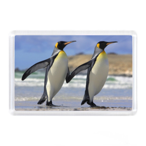 Магнит Пингвины