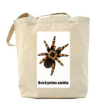 Холщовая сумка