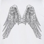  Крылья