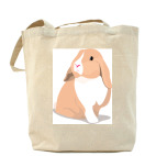 Холщовая сумка