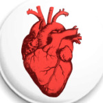 Настоящее сердце