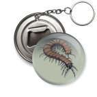 Сколопендра макро