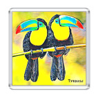 Магнит 6.5 x 6.5 см  Туканы