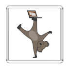 Karmic Koala