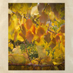 Листья осени