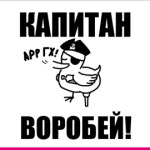 'Капитан воробей!'