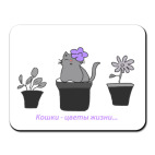 кошки-цветы