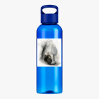 Прозрачная спортивная бутылка