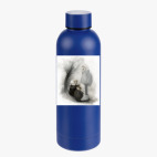 Термобутылка