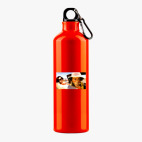 Металлическая бутылка 700 мл UV-DTF