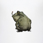 Toad-smoker