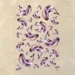 Лиловые киты