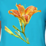 рыжая лилия