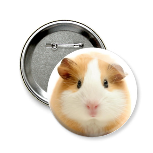 Значок 58мм с принтом морская свинка