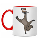 Karmic Koala