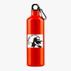 Металлическая бутылка 700 мл UV-DTF