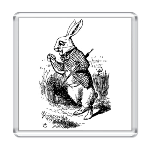 Магнит с принтом В кроличью нору