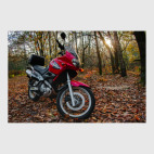 Мотоцикл в осеннем лесу