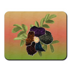 Арт-шиповник