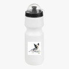 Велобутылка