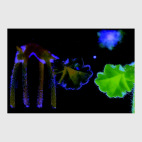 Материя и сознание