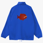 Ветровка с капюшоном