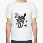  Кот Шредингера