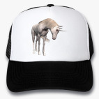 Кепки Trucker