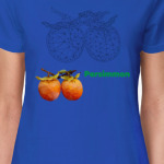 Persimmon Low Poly