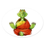 Черепаха на медитации