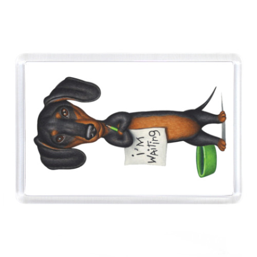 Магнит I'm Waiting