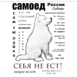Самоед. ЧаВо