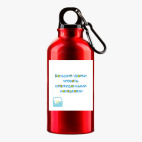 Металлическая бутылка 400 мл UV-DTF