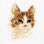 Серьёзный Кот