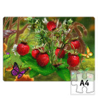 мир фэнтэзи