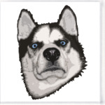 Суровый Хаски