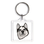 Суровый Хаски