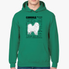 Толстовка худи