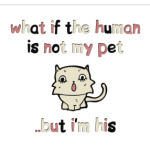 А вдруг я домашний питомец?