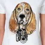 Собака - Бассет хаунд