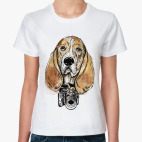 Собака - Бассет хаунд