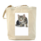 Холщовая сумка