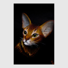 Абиссиночка