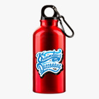 Металлическая бутылка 400 мл UV-DTF