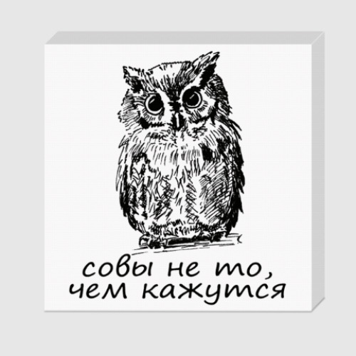 Холст с принтом Сова