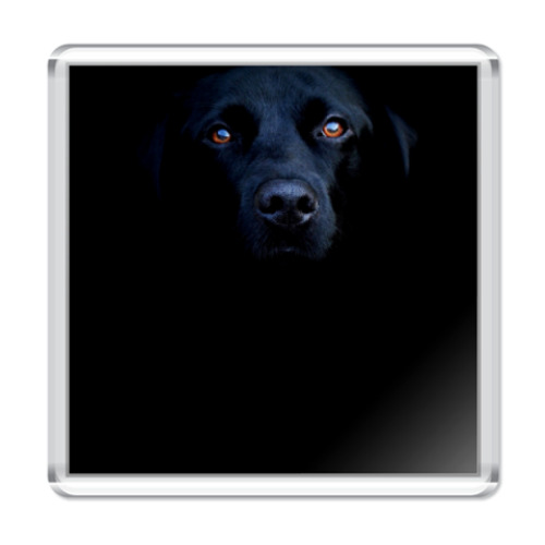 Магнит с принтом   ПЕС