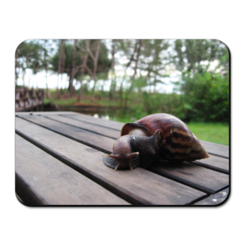 Коврик для мыши с принтом Улитка